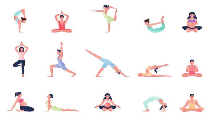 Fitness and Wellness 