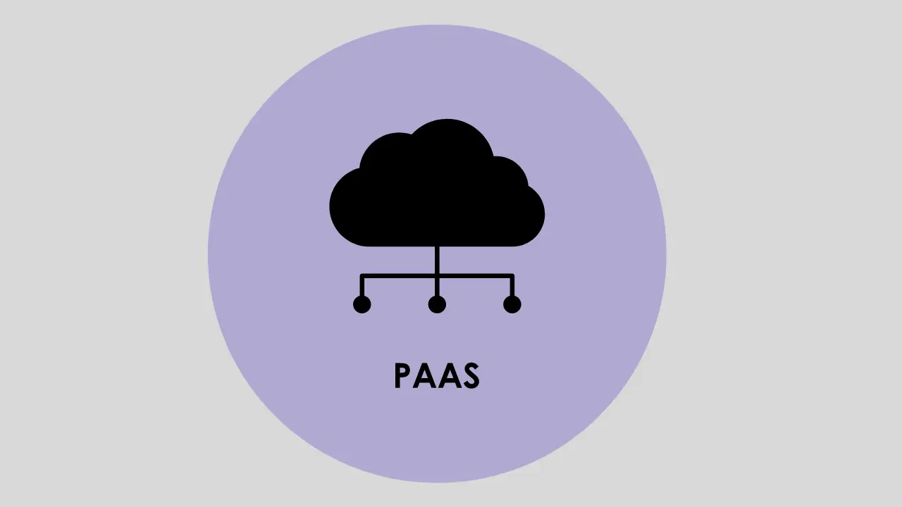 Create a Platform as a Service (PaaS) to make money with WordPress.