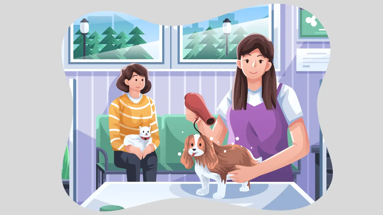 Pet Care